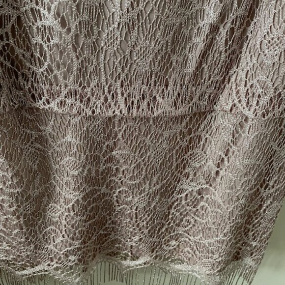 Laura - "Party dress  - taupe/blush colour  - metallic threads -lace- size 18 - Picture 8 of 11